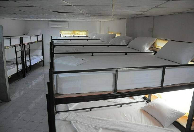 מיטה בחדר משותף, Mickey Hostel