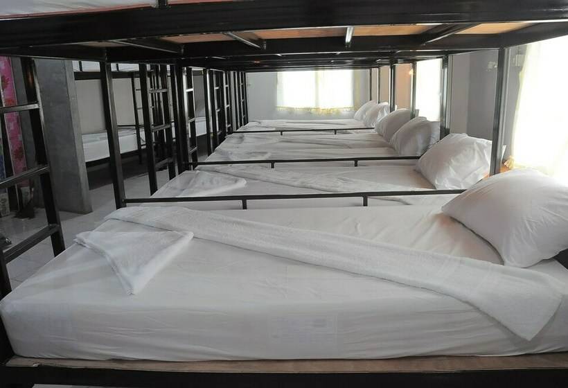 מיטה בחדר משותף, Mickey Hostel