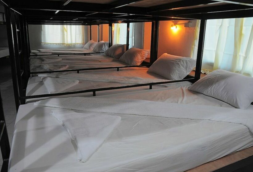 מיטה בחדר משותף, Mickey Hostel