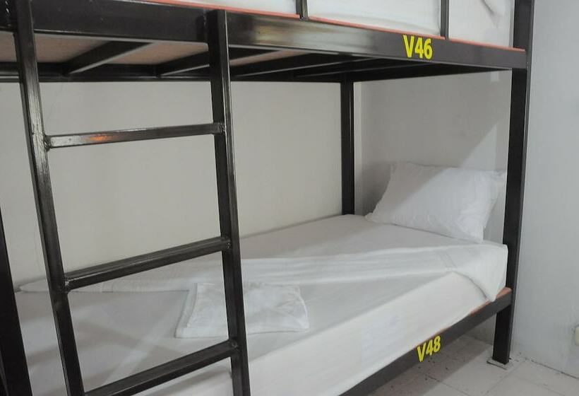 מיטה בחדר משותף, Mickey Hostel