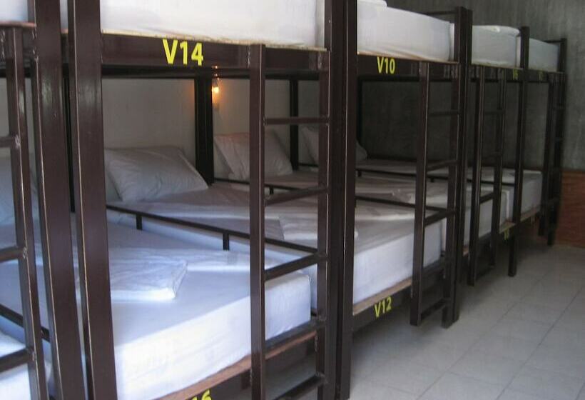 מיטה בחדר משותף, Mickey Hostel