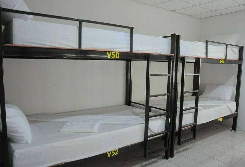 מיטה בחדר משותף, Mickey Hostel