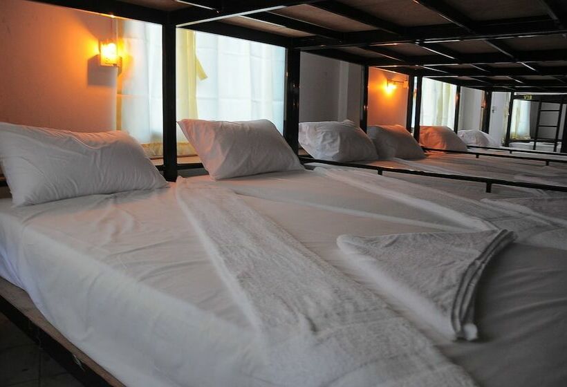 מיטה בחדר משותף, Mickey Hostel