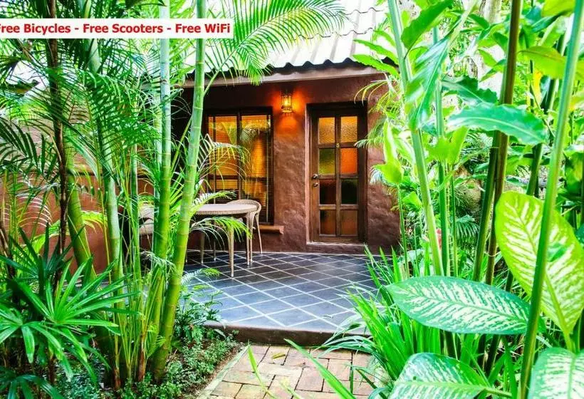 デラックスルーム, Baanpong Lodge