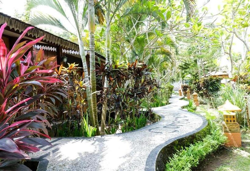 标准房带园景, Green Asri