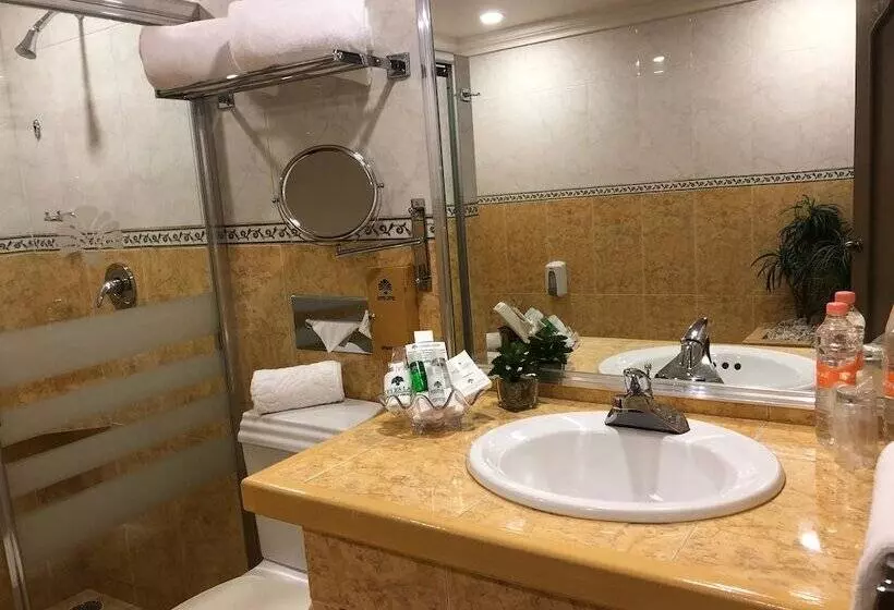 スタンダードルーム, Suites Layfer, Cordoba, Veracruz, Mexico