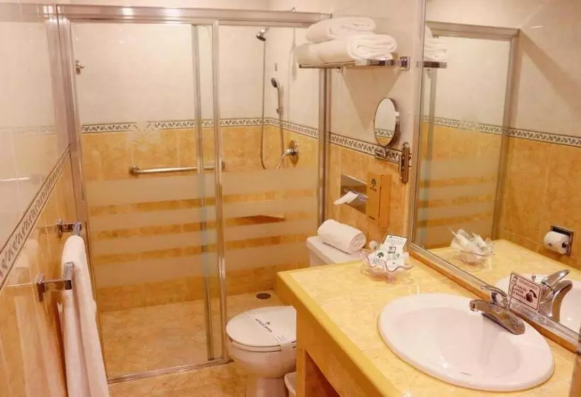 スーペリアースイート, Suites Layfer, Cordoba, Veracruz, Mexico
