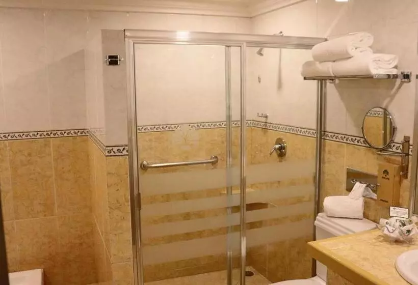 キングサイズベッドのスタンダードルーム, Suites Layfer, Cordoba, Veracruz, Mexico
