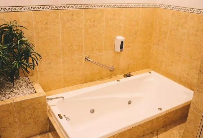 キングサイズベッドのスタンダードルーム, Suites Layfer, Cordoba, Veracruz, Mexico