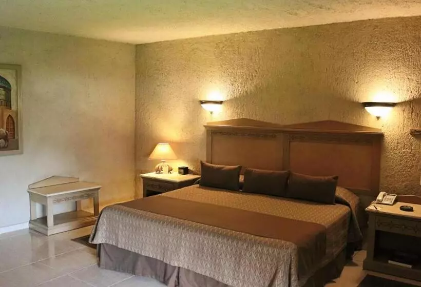 キングサイズベッドのスタンダードルーム, Suites Layfer, Cordoba, Veracruz, Mexico