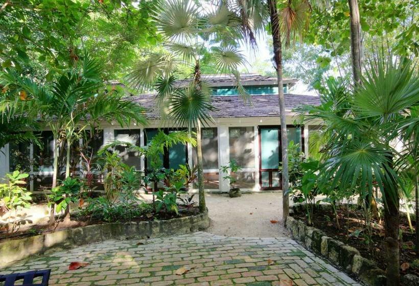 اتاق استاندارد با تخت بزرگ, Tingalaya's Retreat