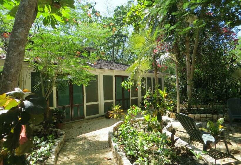 اتاق استاندارد با تخت بزرگ, Tingalaya's Retreat