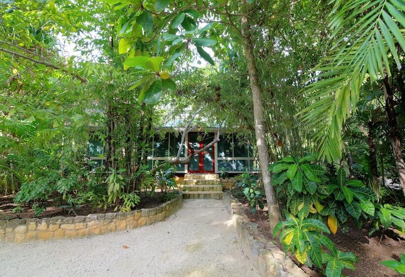 اتاق استاندارد, Tingalaya's Retreat