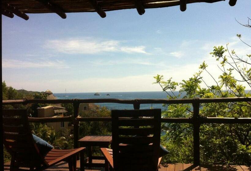 سوییت لوکس, Zoa Hotel Adults Only