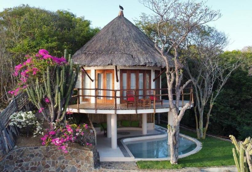 سوییت, Zoa Hotel Adults Only