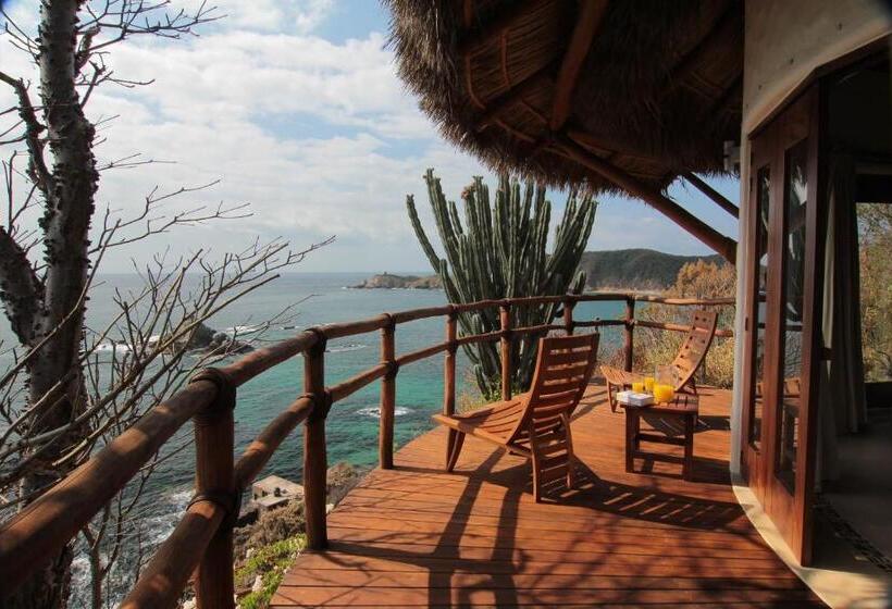 سوییت, Zoa Hotel Adults Only