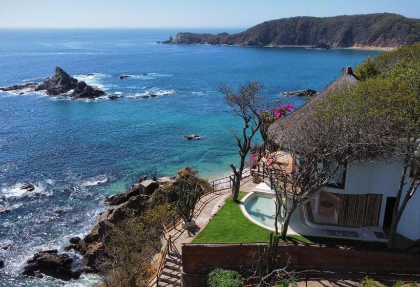 سوییت, Zoa Hotel Adults Only