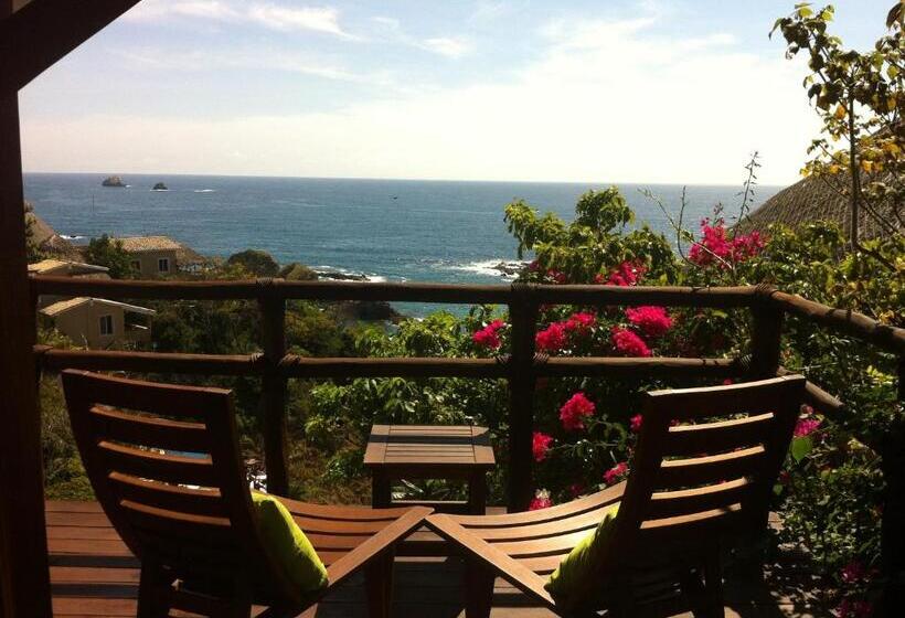 Suite with Terrace, Zoa Hotel Adults Only