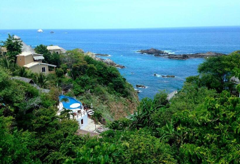 Suite with Terrace, Zoa Hotel Adults Only