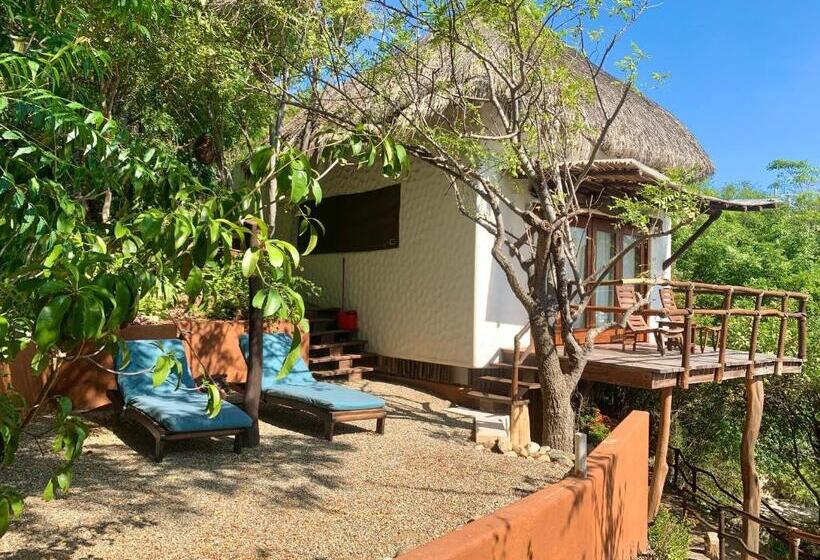 سوییت جونیور, Zoa Hotel Adults Only