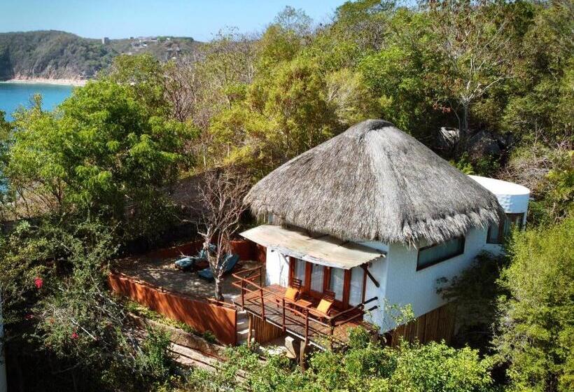 سوییت جونیور, Zoa Hotel Adults Only