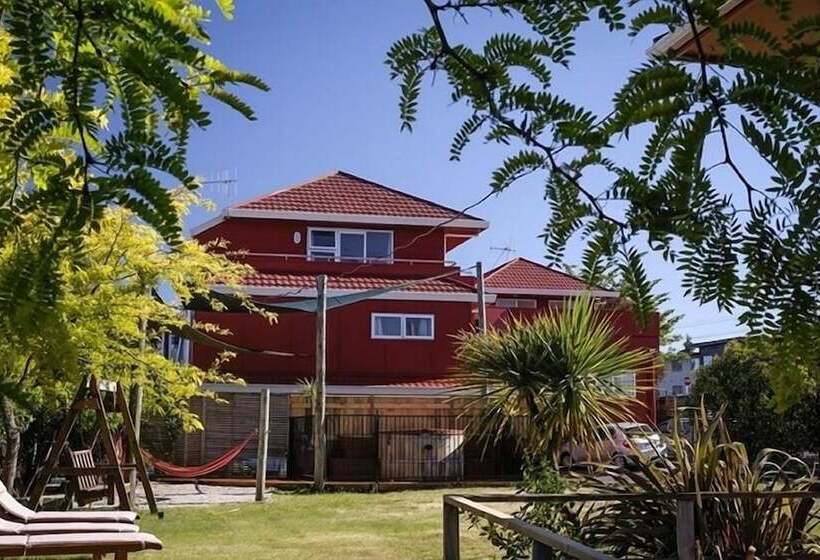 מיטה בחדר משותף, Haka House Taupo