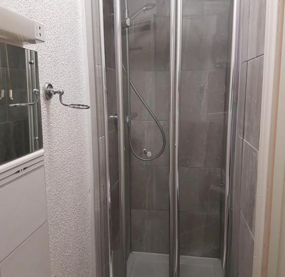 غرفة قياسية فردية, The Craigside