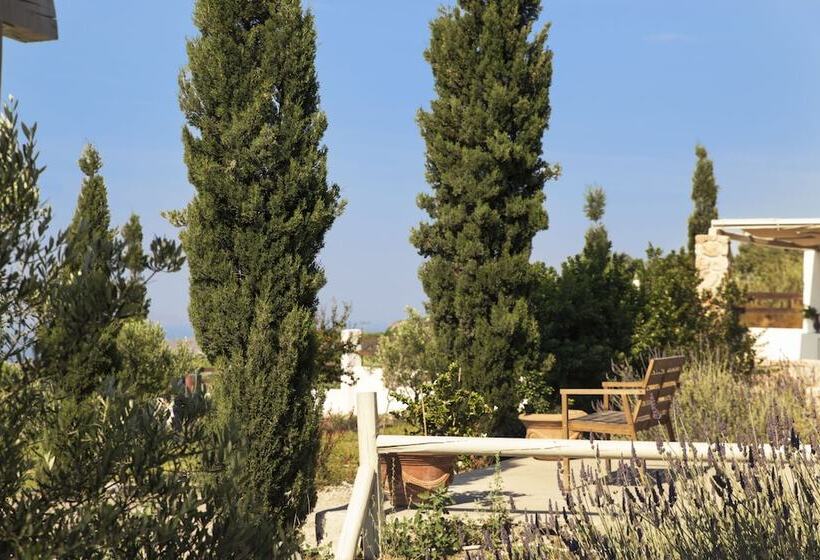 ویلای 3 خوابه با استخر, Christou Estate