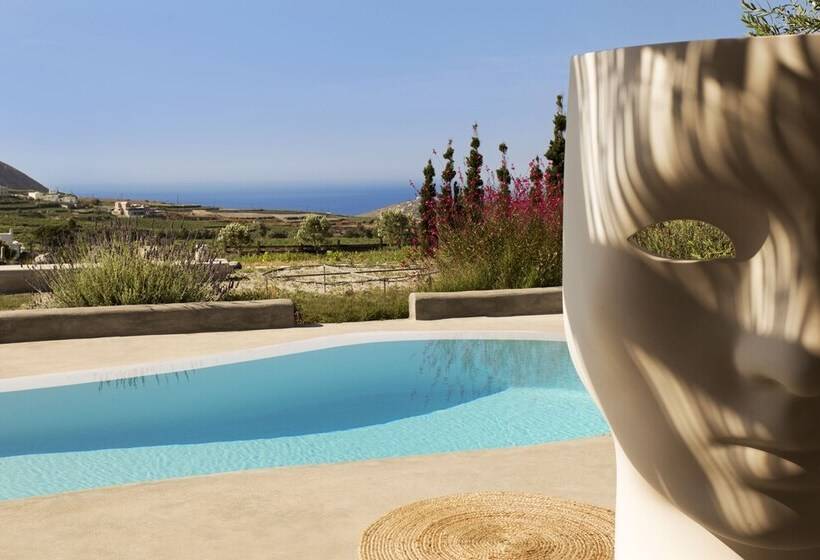 اتاق استاندارد, Christou Estate