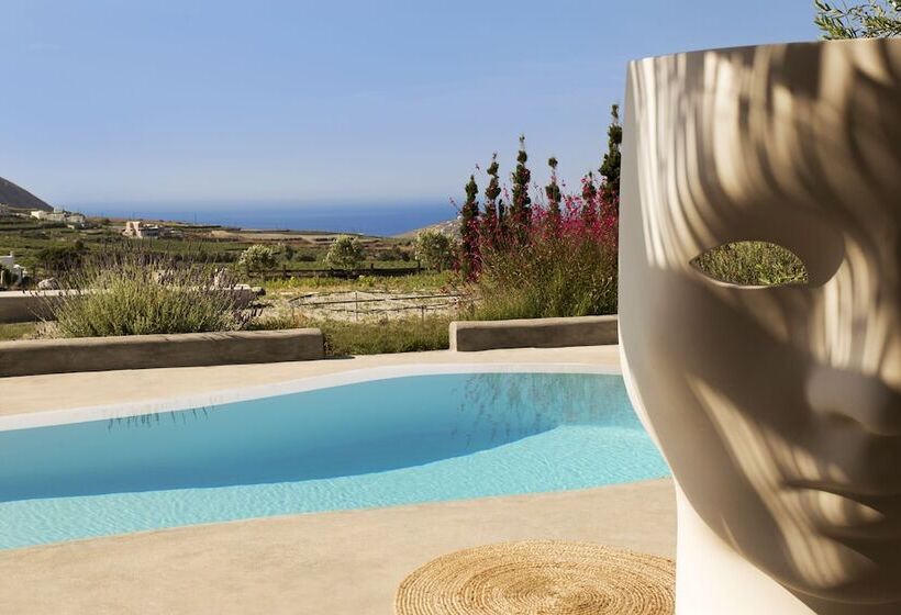 اتاق استاندارد, Christou Estate