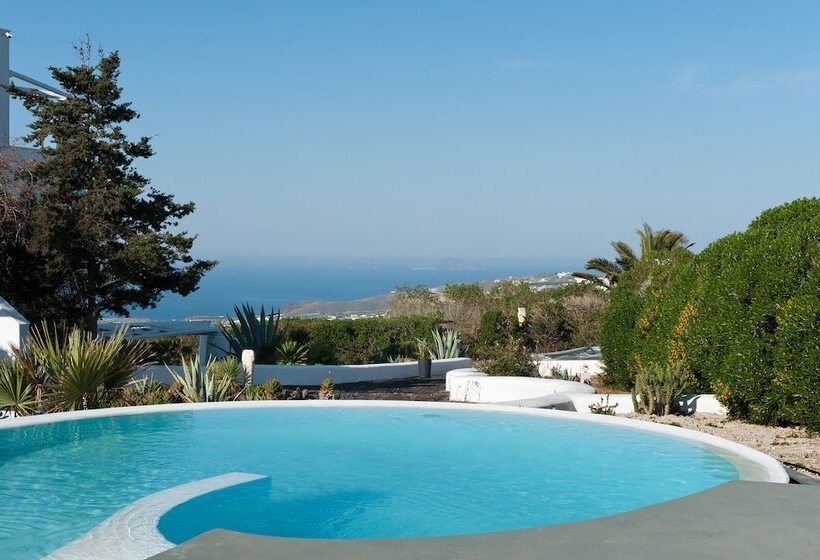 اتاق استاندارد, Christou Estate