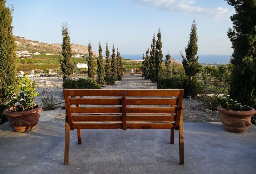 اتاق استاندارد, Christou Estate