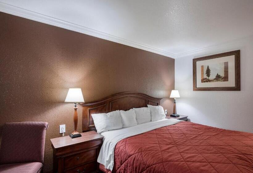 스탠다드 룸 킹사이즈 침대, 1st Interstate Inn