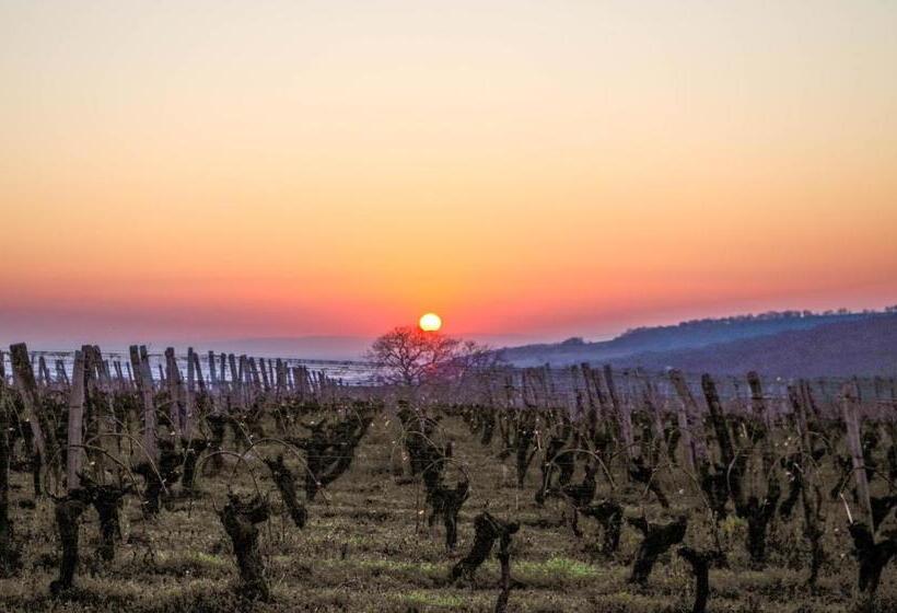 Номер Стандарт Вид на Сад, Domaine Joseph Lafarge Wine Resort B&b