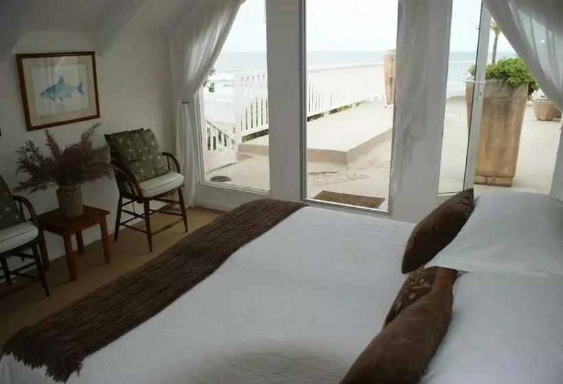 メゾネットスイート, The Pink Lodge On The Beach