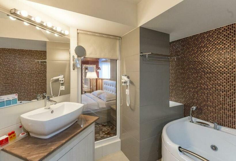 小型套房, Craiovita