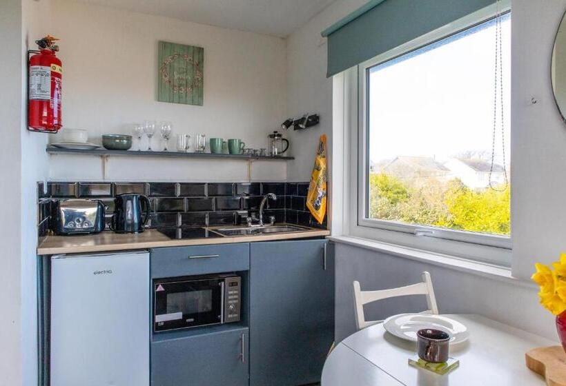 수피리어 룸, Penkerris