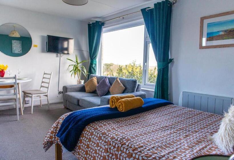 수피리어 룸, Penkerris