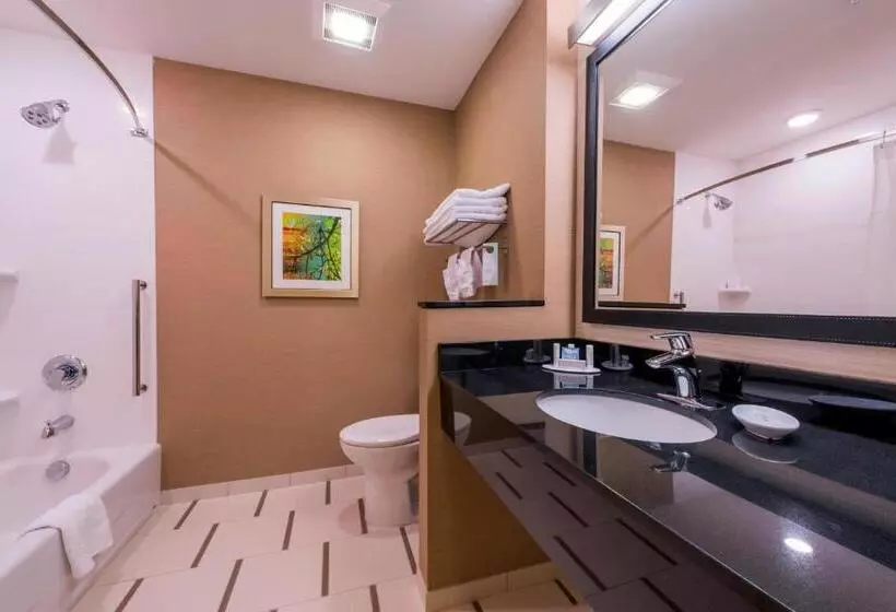 スタンダードルーム, Fairfield Inn By Marriott Afton Star Valley