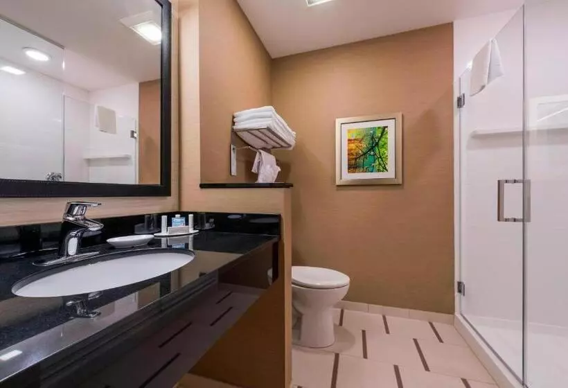 キングサイドベッドのスタンダードワンルーム, Fairfield Inn By Marriott Afton Star Valley