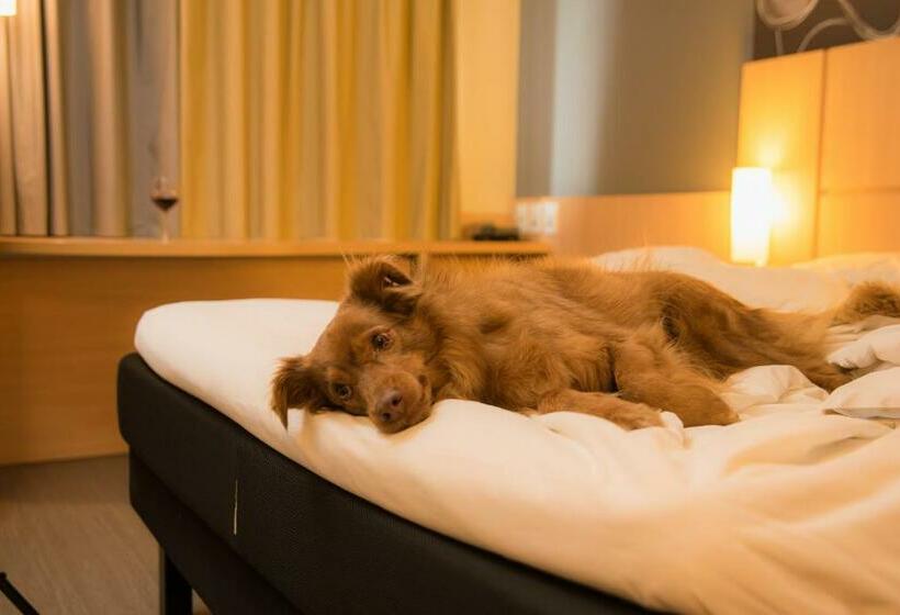 Apartamento 1 Dormitório, Ibis Guaratingueta Aparecida   Circuito Da Fé