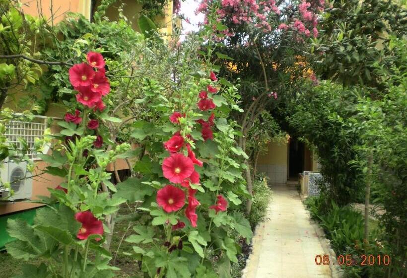 חדר סטנדרט לשלושה, Marin   All Inclusive