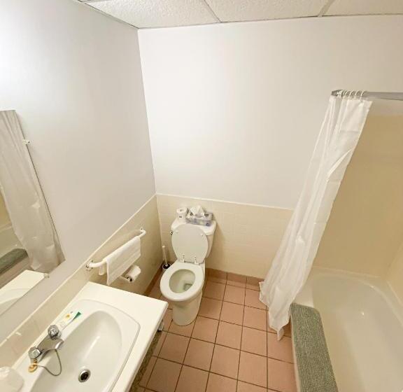 חדר סטנדרט, Auberge De Nos Aieux