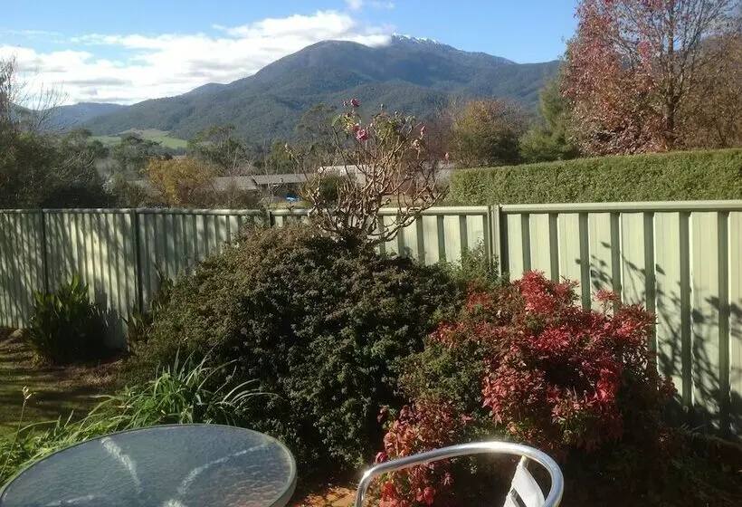 スーペリアールーム, Bogong Moth Motel