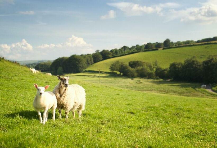 Семейный Номер Superior, Carfraemill