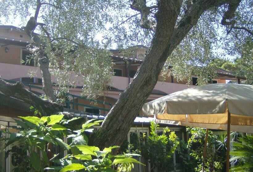 Номер Стандарт, Fiascherino