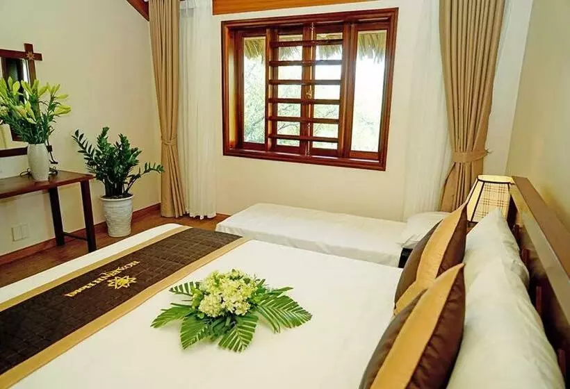 اتاق لوکس, Hoa Binh