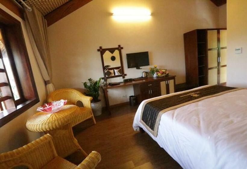 اتاق لوکس, Hoa Binh