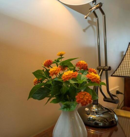 سوئیت پرزیدنت, Hoa Binh