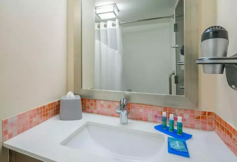 اتاق استاندارد برای معلولان, Holiday Inn Express & Suites Nassau, An Ihg